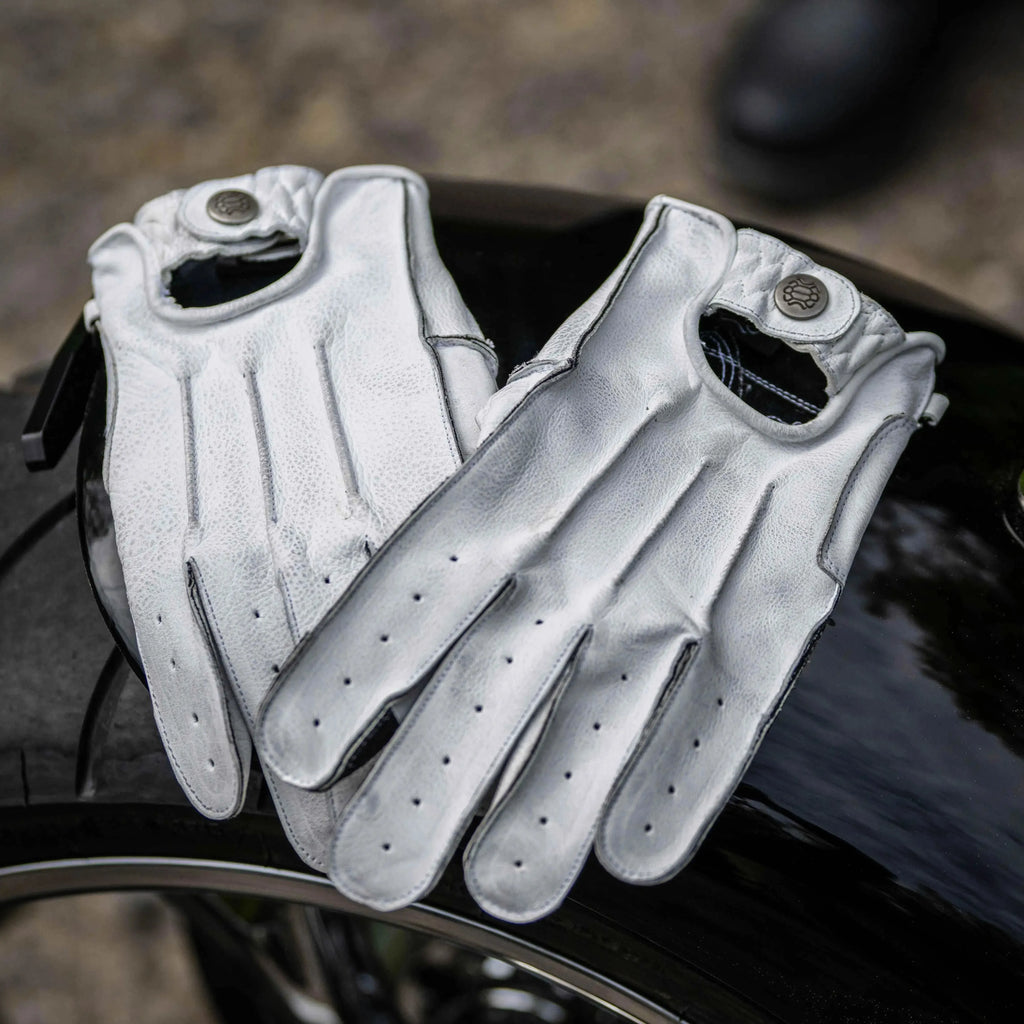 trans-schwarz-21-von-75