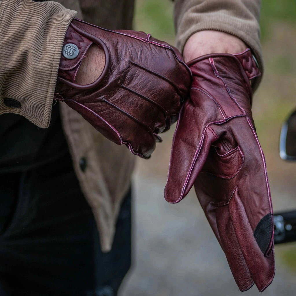 trans-schwarz-27-von-75