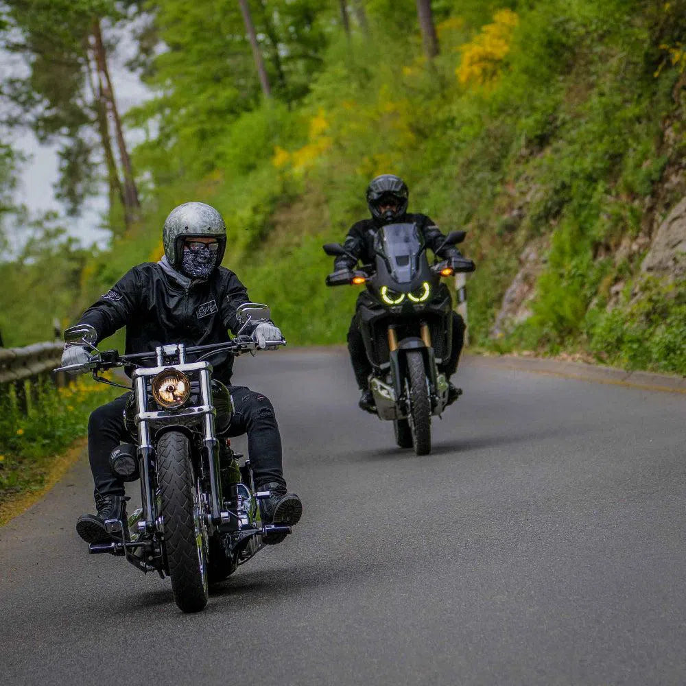 trans-schwarz-33-von-75